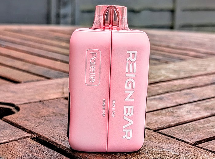 reign bar palette review