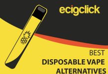 Best Disposable Vape Alternatives – Including Best ‘Disposable Style’ E-liquids! BEST dv alt sq