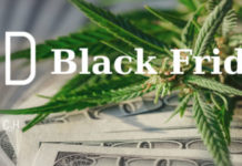 CBD Black Friday Deals 2020 – Save BIG Now! CBD Black Friday Deals