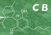 Vaping CBD – What is CBD? What Are the Benefits? How To Vape.. cbd vaping guide